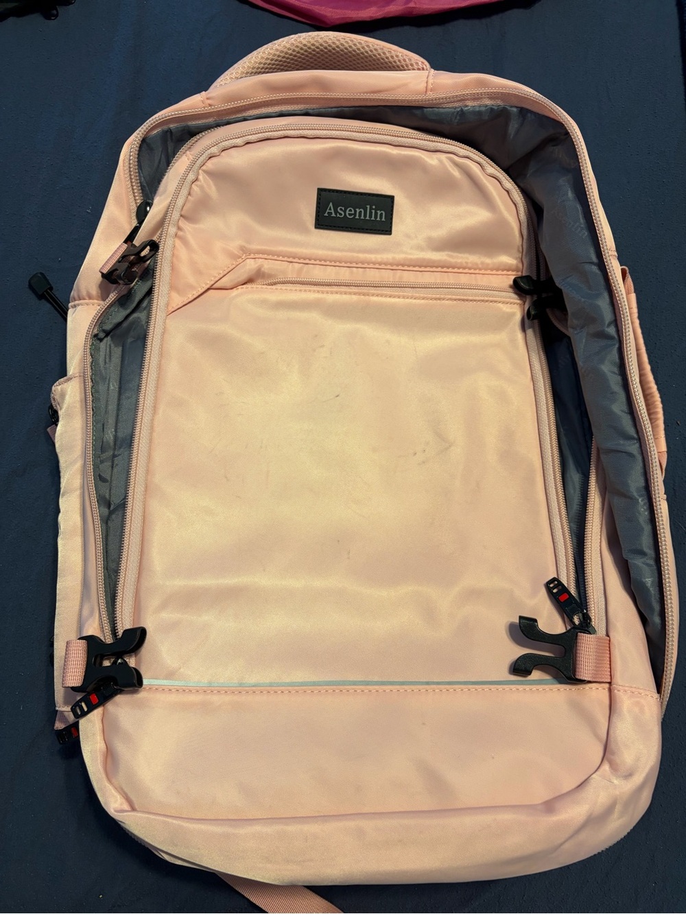 Light Pink Backpack for Travel
